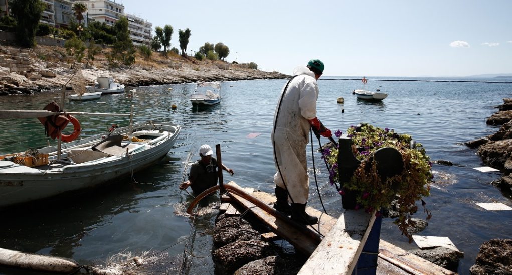 Βελτιωμένη η εικόνα στον Σαρωνικό – Ξανάρχισε η απάντληση Βελτιωμένη η εικόνα στον Σαρωνικό – Ξανάρχισε η απάντληση
