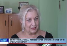 Βόλος Φοιτητική κατοικία: Περισσότερες επιλογές φέτος στην αγορά του Βόλου 200826