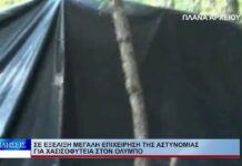 Λάρισα Σε εξέλιξη μεγάλη επιχείρηση της αστυνομίας για χασισοφυτεία στον Όλυμπο 240926