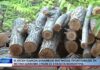 Βόλος Η ΛΕΔ Μαγνησίας προετοιμάζει τη φετινή διανομή ξύλων σε ευάλωτα νοικοκυριά 290926