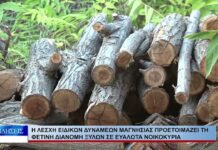 Βόλος Η ΛΕΔ Μαγνησίας προετοιμάζει τη φετινή διανομή ξύλων σε ευάλωτα νοικοκυριά 290926