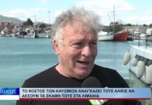 Βόλος Το κόστος των καυσίμων αναγκάζει τους αλιείς να δέσουν τα σκάφη τους στα λιμάνια 011026
