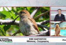 Η Ηθοποιός και Συγγραφέας Έφη Χαντζούλη στην TRT 021026