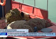 Βόλος Κλιμακώνουν οι αλιείς – «Ασπιρίνες» χαρακτηρίζουν τα μέτρα του ΥΠΑΑΤ 081026