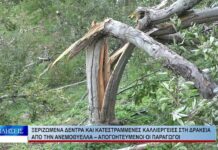 Βόλος Ξεριζωμένα δέντρα και κατεστραμμένες καλλιέργειες στη Δράκεια από την ανεμοθύελλα 161026