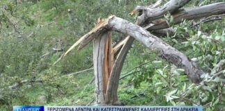 Βόλος Ξεριζωμένα δέντρα και κατεστραμμένες καλλιέργειες στη Δράκεια από την ανεμοθύελλα 161026