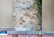 Βόλος Κάτοικοι της Μακρινίτσας ζητούν να γίνουν εργασίες σε κατεστραμμένο καλντερίμι 241026