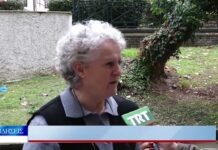 Λάρισα Δένδρο κατέληξε σε μπαλκόνι πολυκατοικίας στη Λάρισα 301026